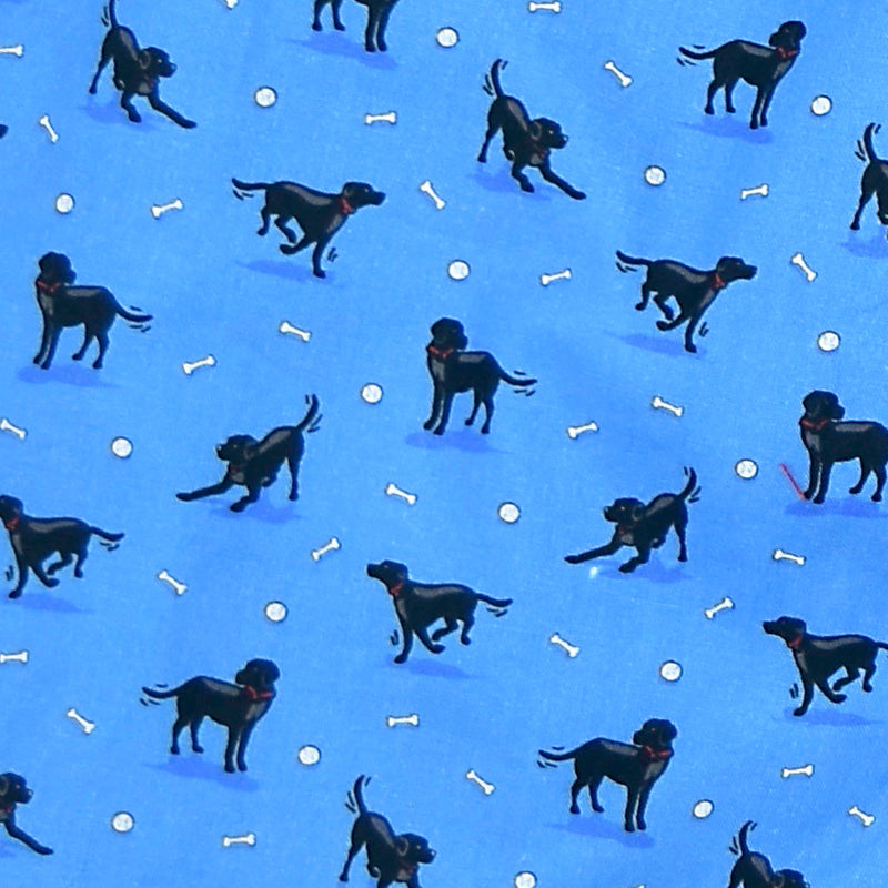 Bird Dog Bay Boxers