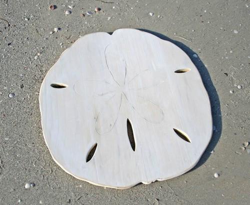 Beachcomber Trading Wooden Sand Dollar